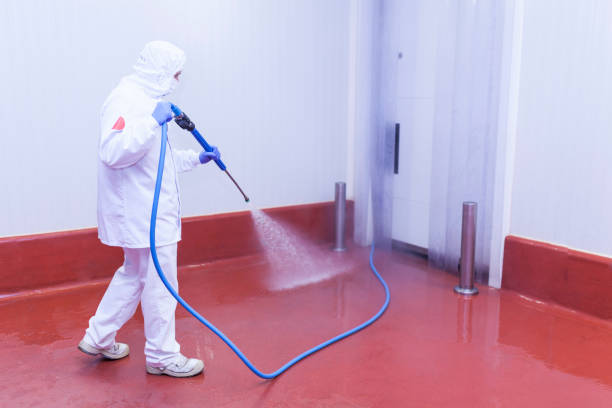Best Patio and Deck Pressure Washing  in , NM