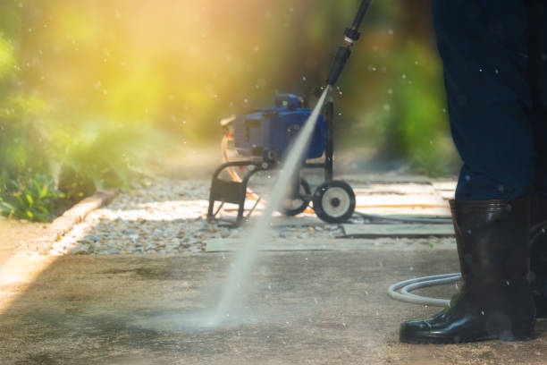 Best Sidewalk and Walkway Cleaning  in , NM